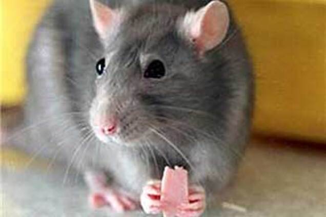 Как развлечь секретаршу? Отжиг одного офиса... ФОТО