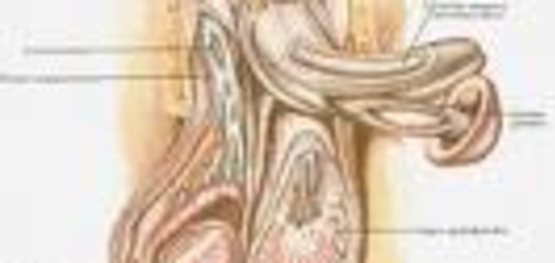 Дівчата з яйцями щось не поділили ... Біль жахливий. ФОТО