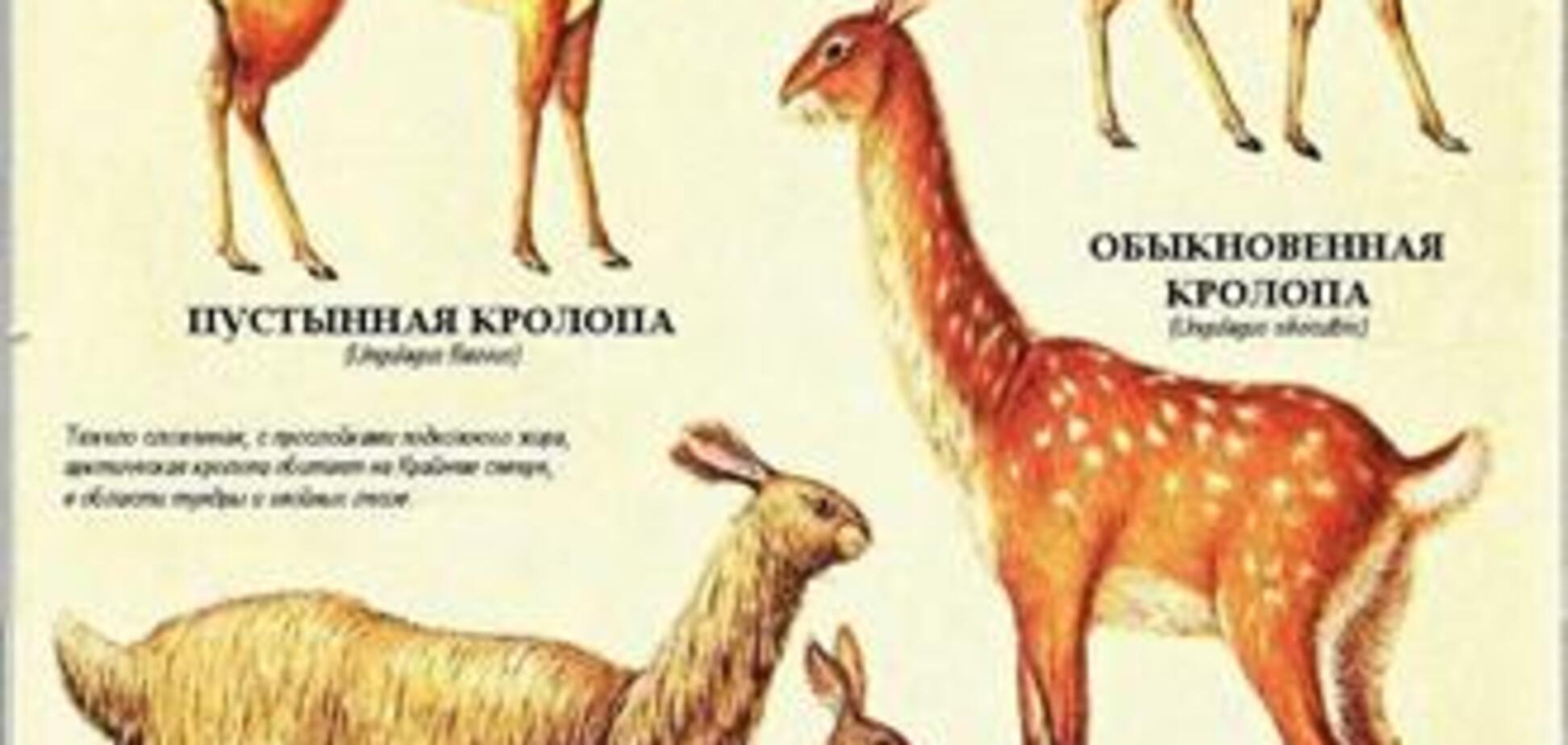 После человека: Зоология будущего. ФОТО