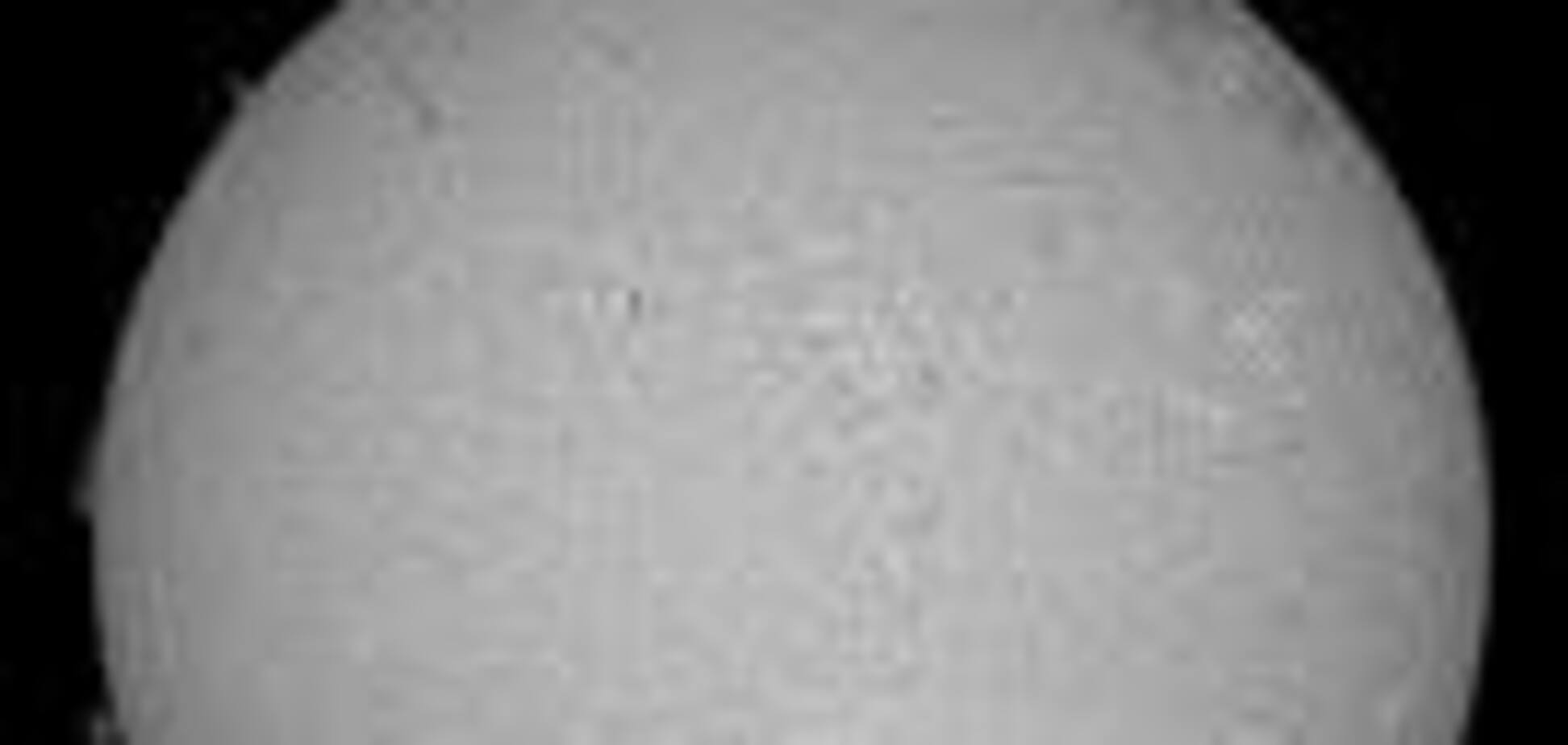 Почему самолет и птица - понятия несовместимые? ФОТО