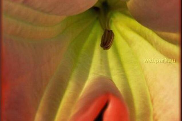 Скрізь порнуха ввижається. ФОТО