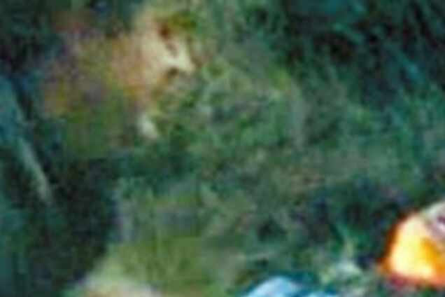 Згвалтування Анастасії Заворотнюк на сіннику. Відеозвіт