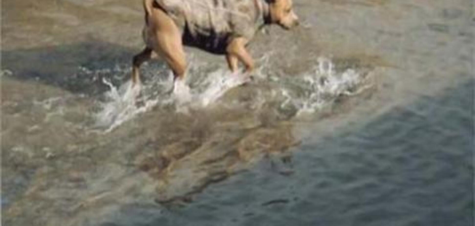 Пес-рыболов. Очень ценная цобачко... ФОТО