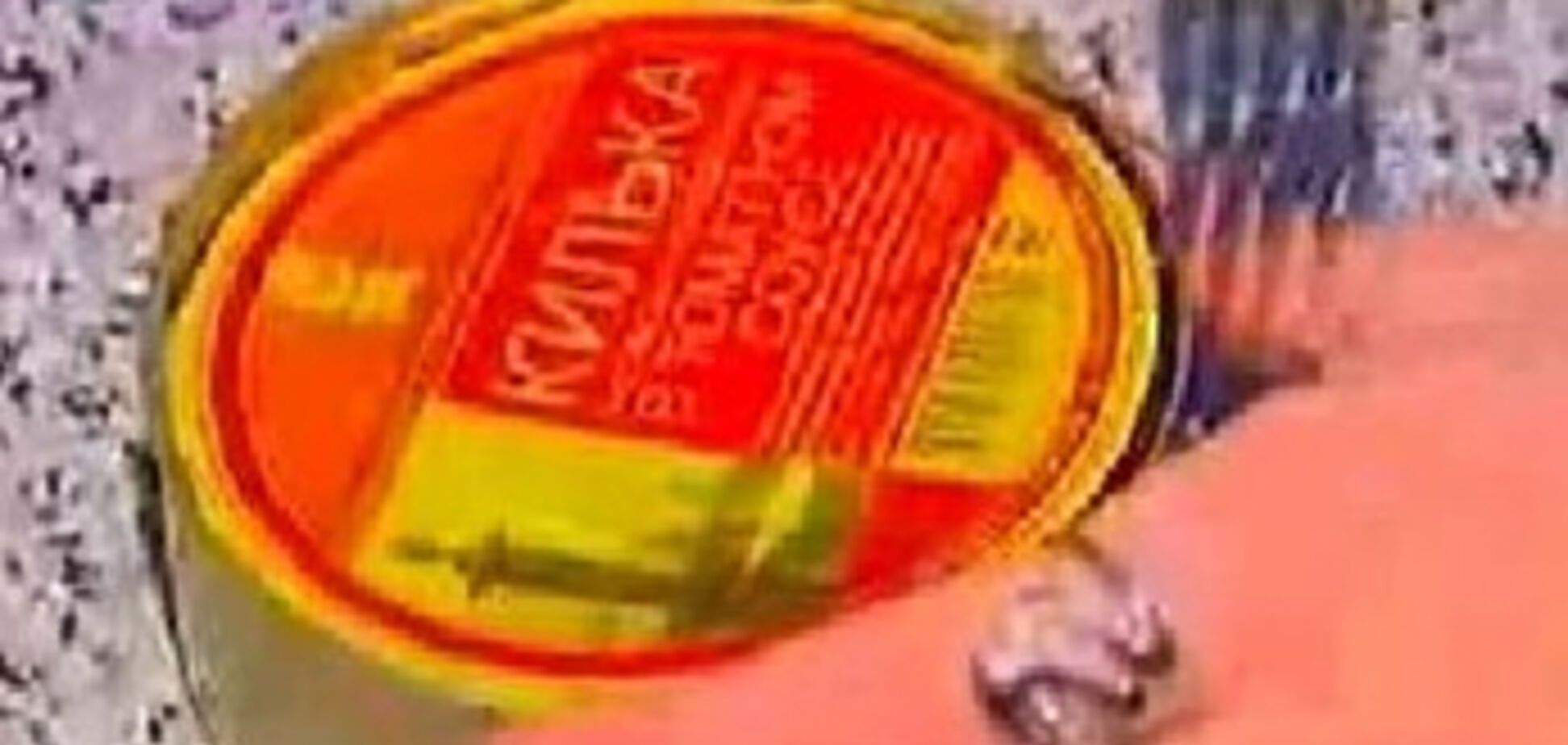 Жесть дня. Как есть доисторических тараканов с килькой