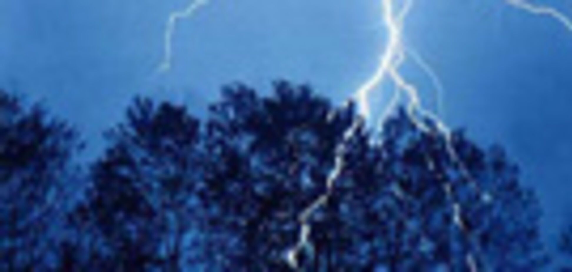 Молния убила двух винницких подростков