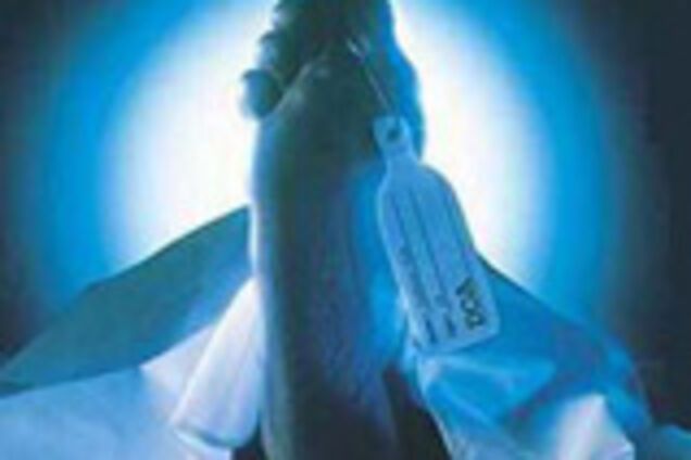 Вольные демократы застелят белыми простынями трассу