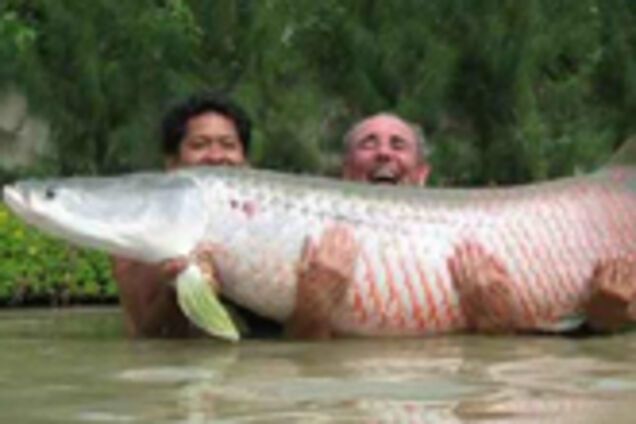 Рыбалка в Таиланде. Сложно поймать что-то меньше 30 кг. ФОТО