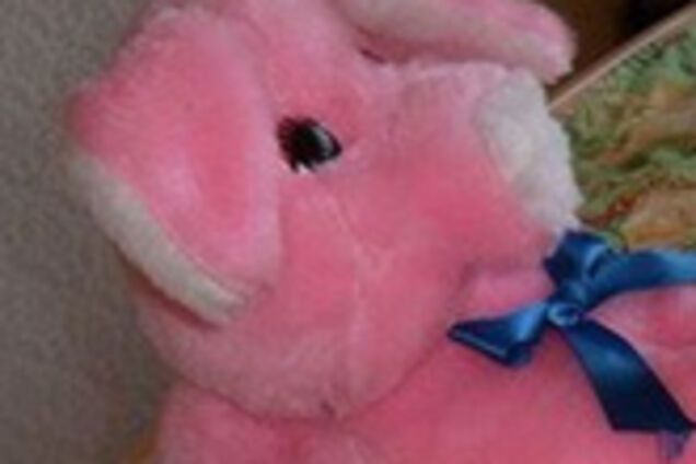 В Киеве делают игрушки с мягким розовым членом