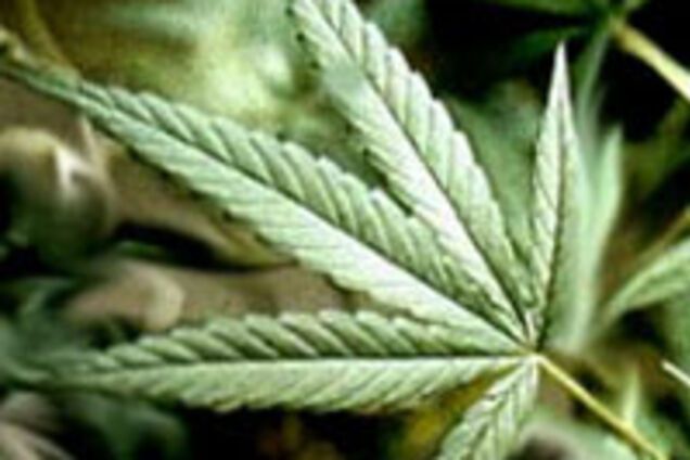 Киевлянин превратил квартиру в склад для наркотиков