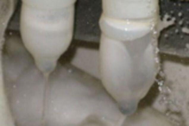 Українці люблять цю справу. Презервативи: на голову не натягнеш