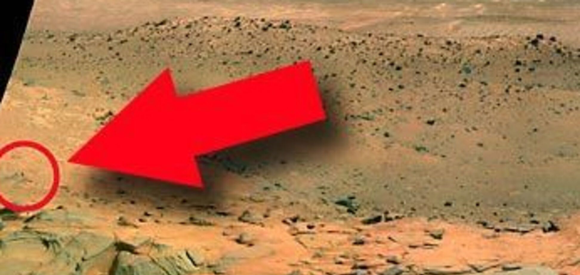 NASA обнаружило разумную жизнь на Марсе!