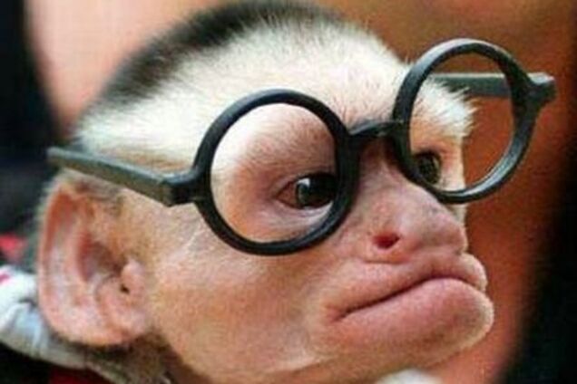 Подборочка. Забудь сегодня об учебе. Татьянин день все-таки