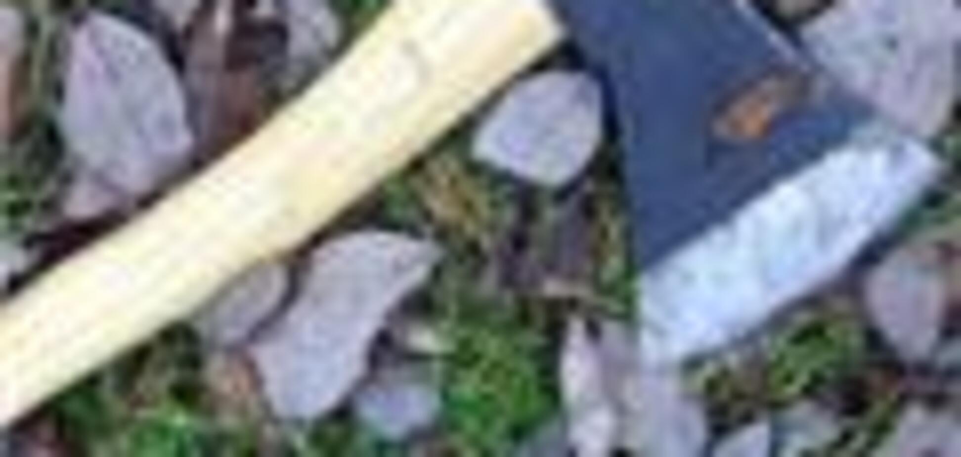 Нападавшего на Елизавету II решили наказать