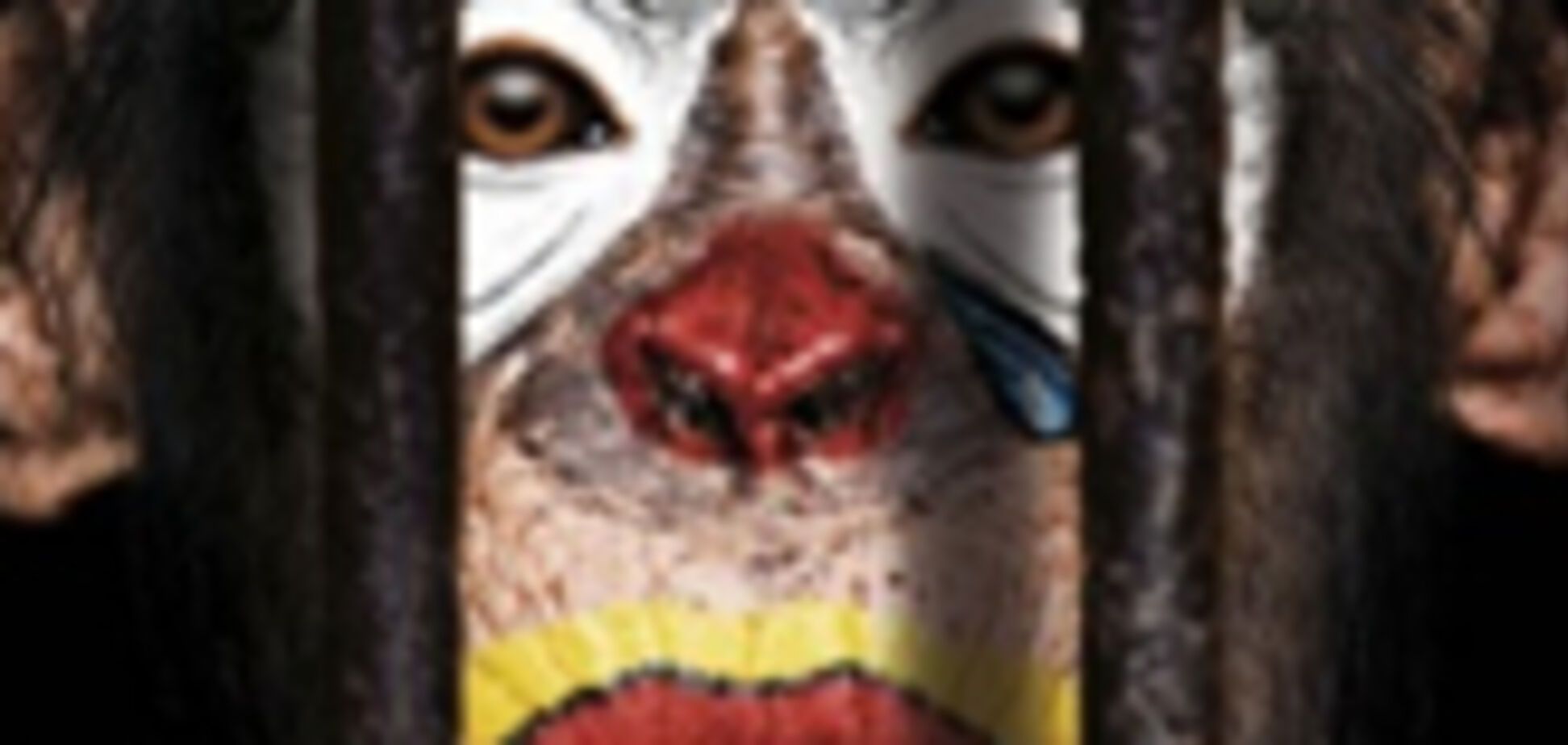 Сам ты обезьяна! Животные не клоуны. Акция против цирка