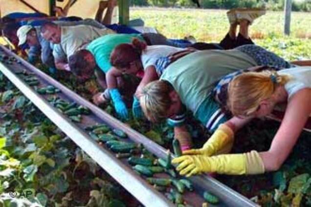 Кризис вернет украинцев с заработков домой