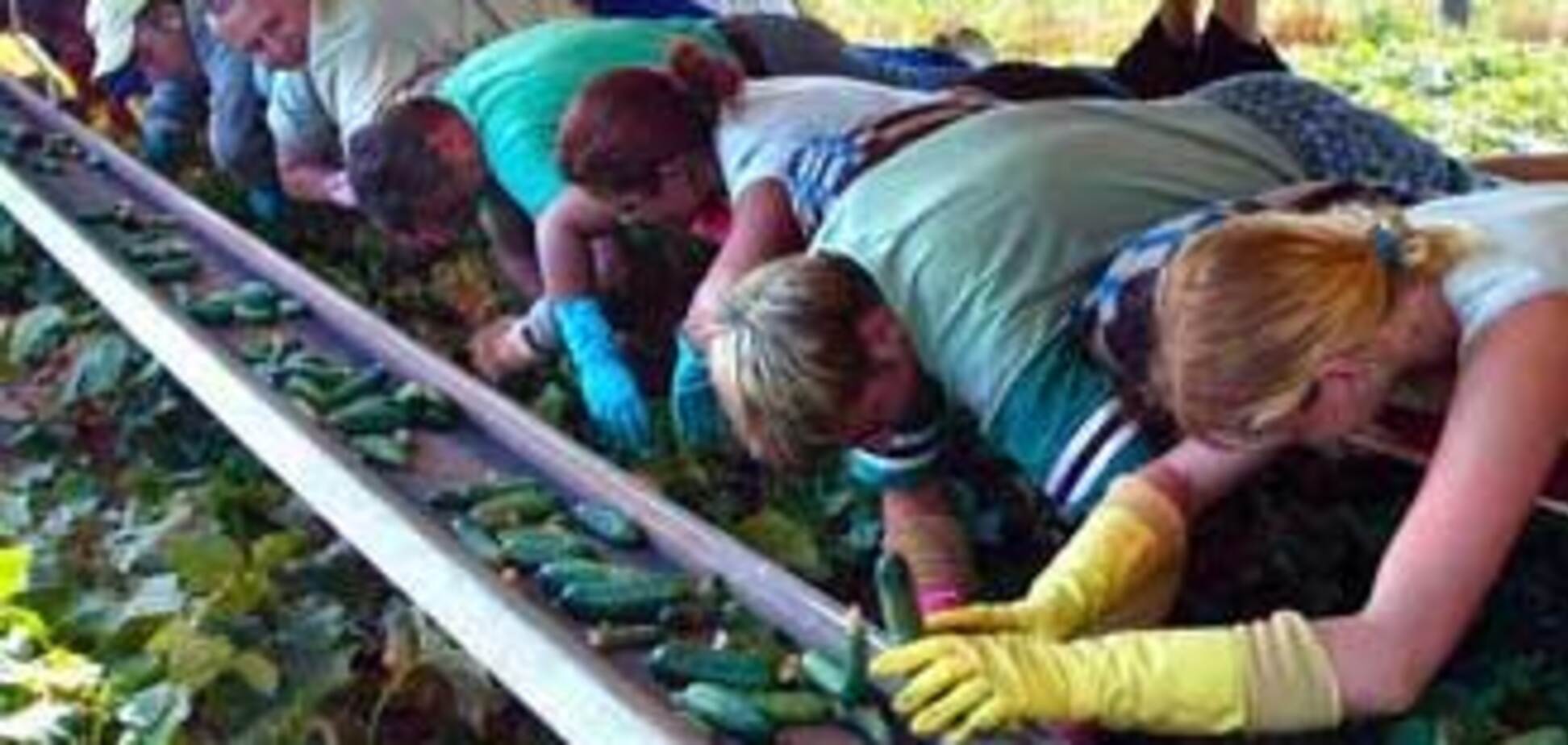 Кризис вернет украинцев с заработков домой