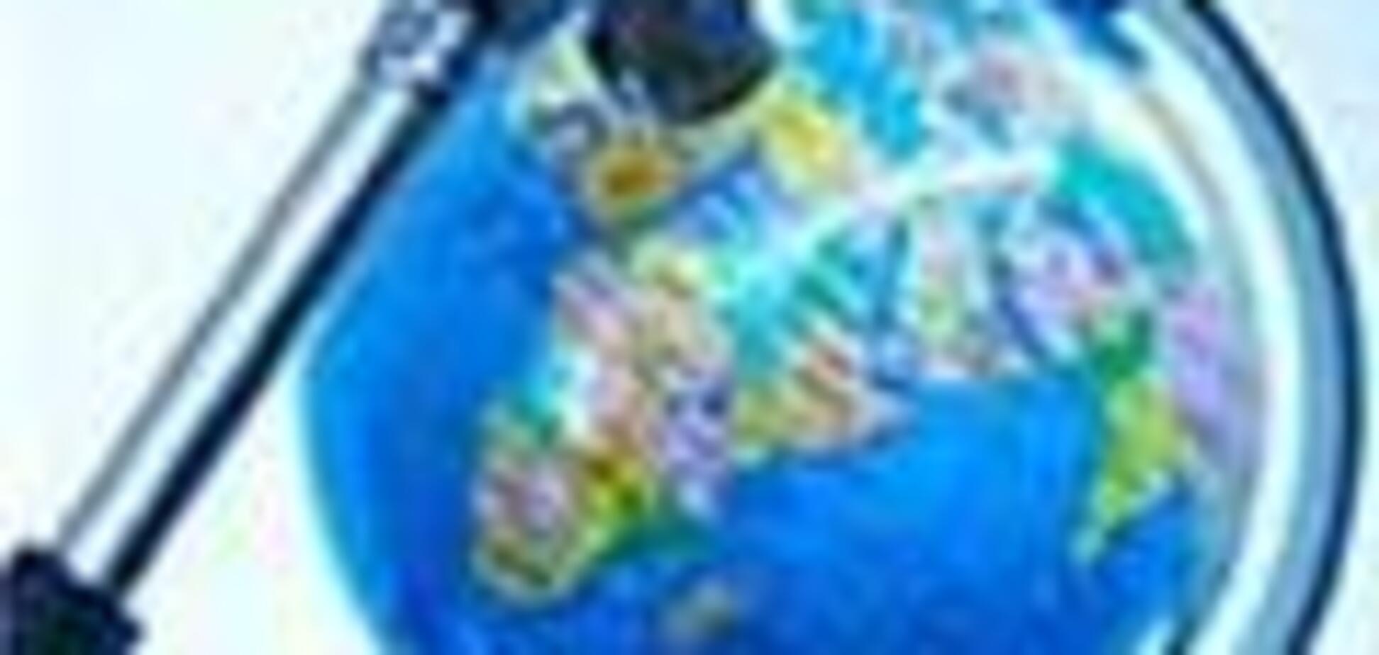 Сомали не будет признавать Абхазию и Южную Осетию