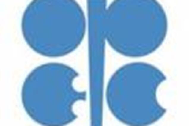 ОПЕК не справляется с падением цен на нефть