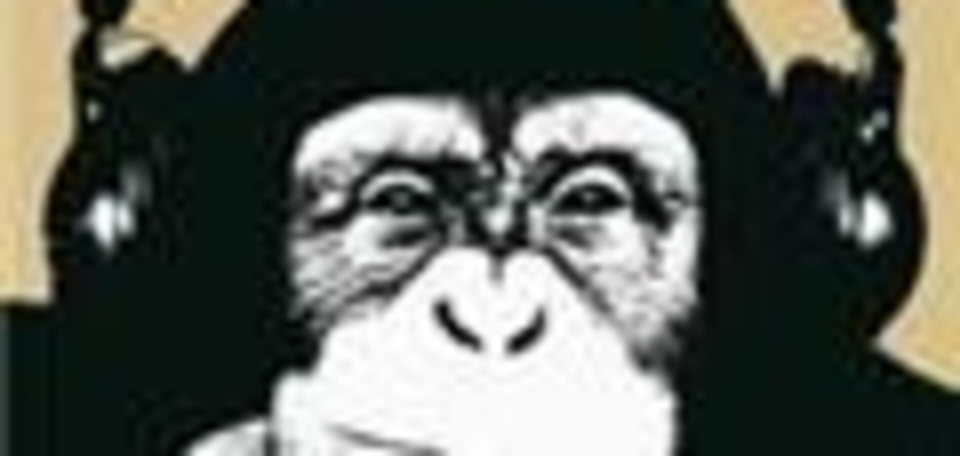 Обмеження імпорту вдарить по любителям IT-товарів