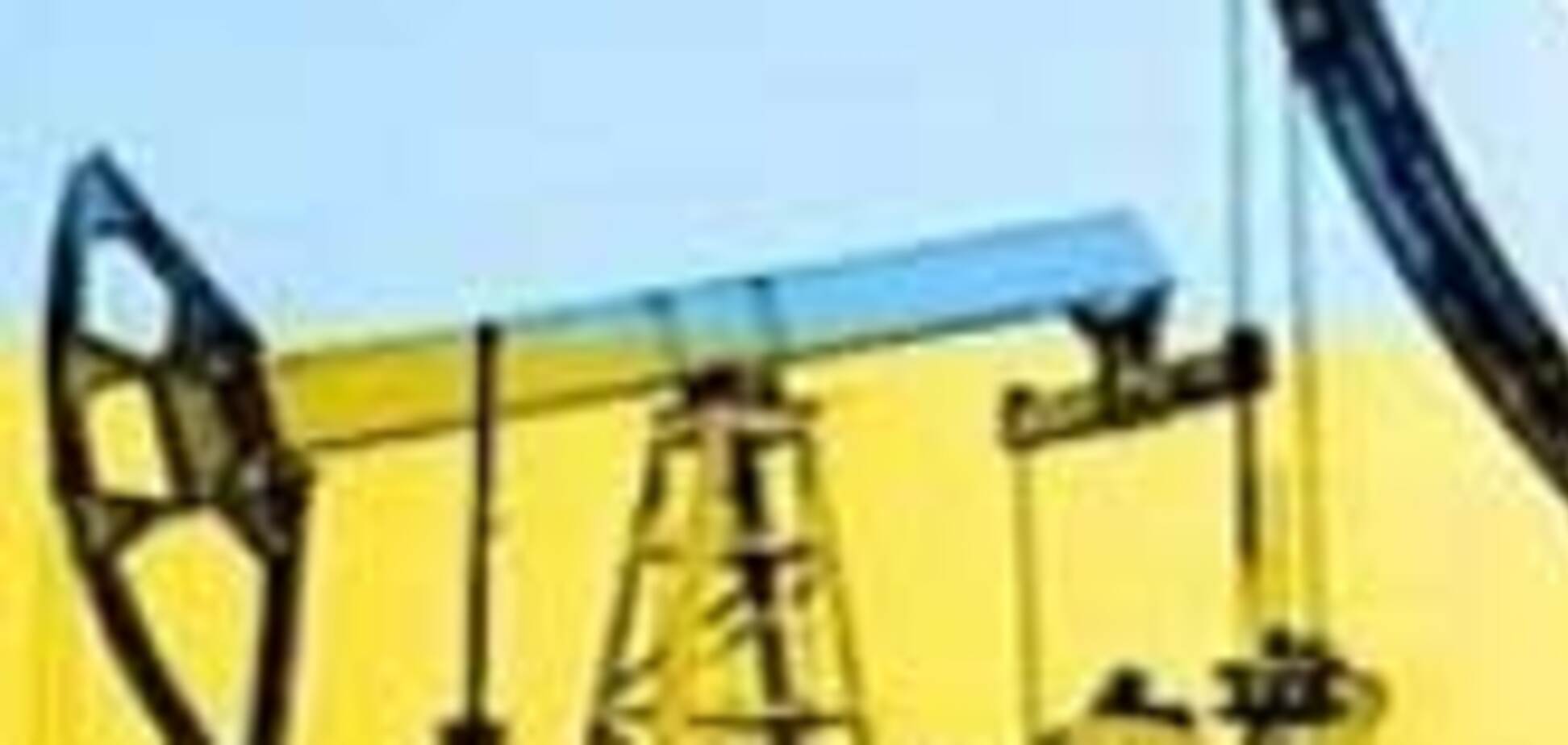 В разгар кризиса 'Надра Украины' перестают быть убыточными
