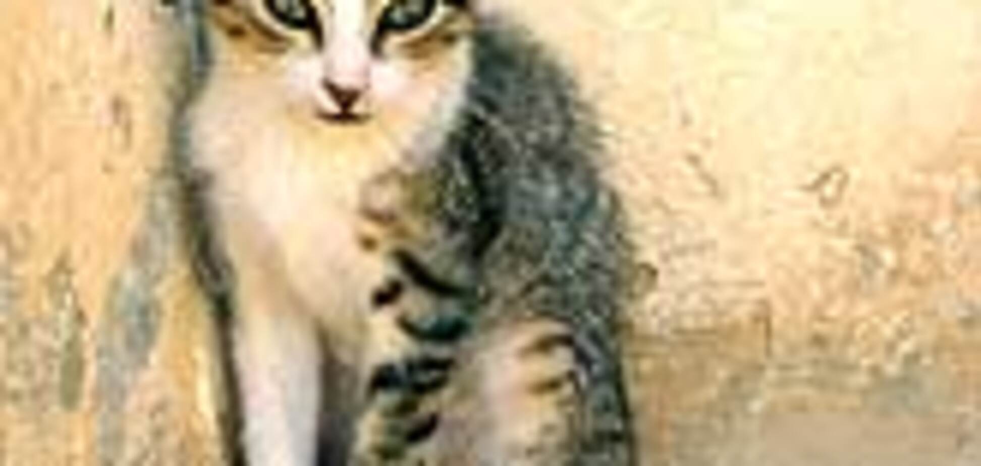 За звіряче вбивство кошеняти посадили жителя Башкирії