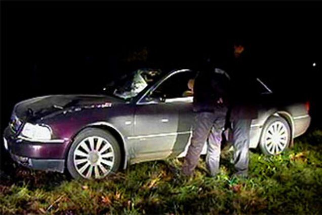 Син 'регіонала' на смерть збив студента