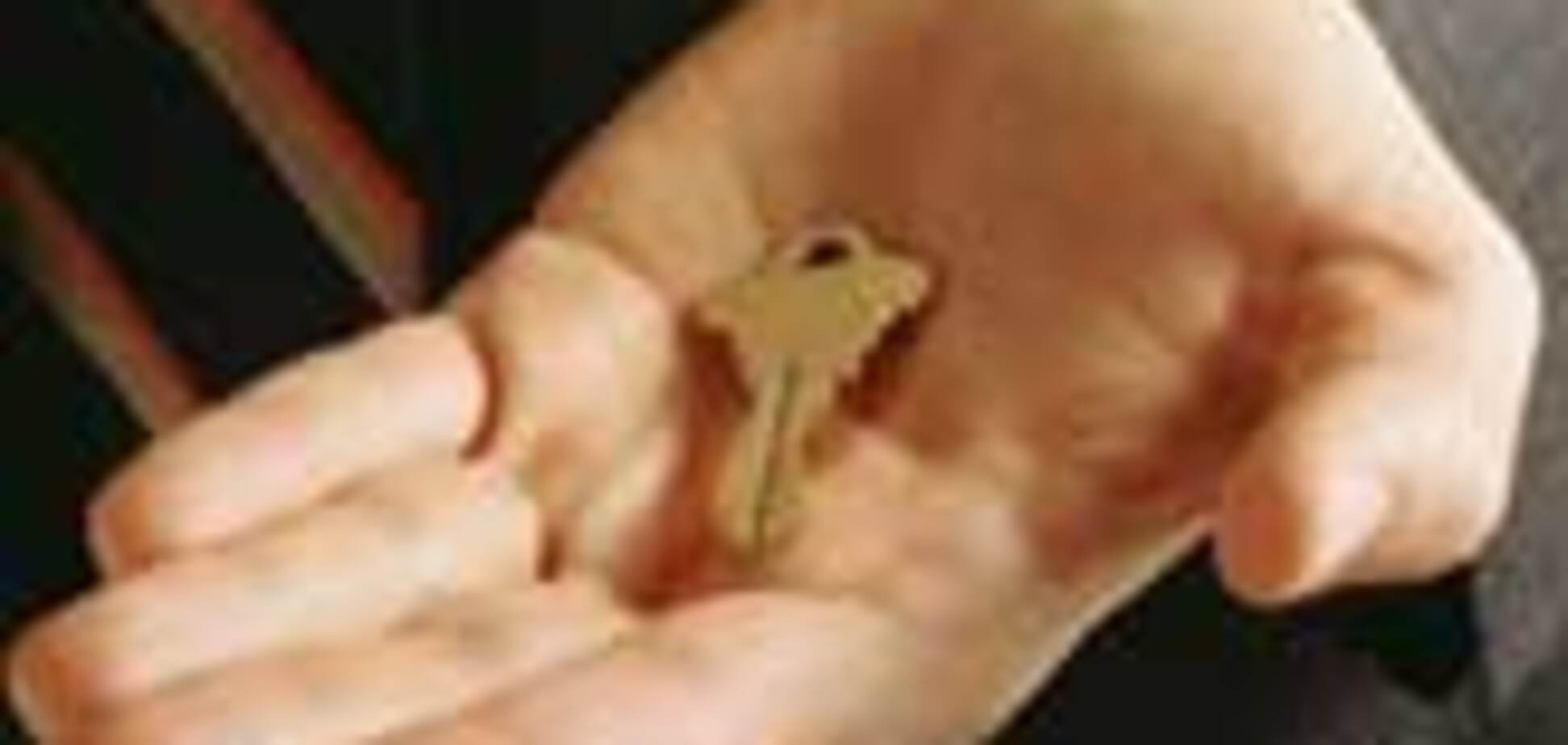 У 2009 році 'погоду' на ринку оренди буде робити орендар