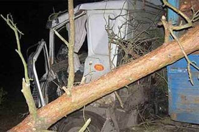 У 'волинську м'ясорубку' потрапив маленька дитина