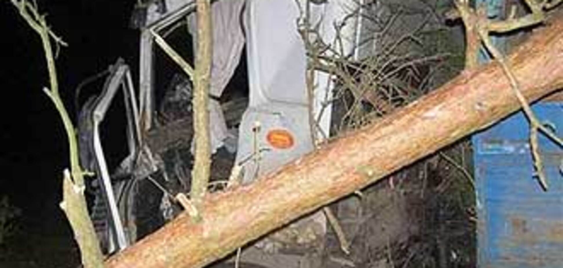 В «волынскую мясорубку» попал маленький ребенок