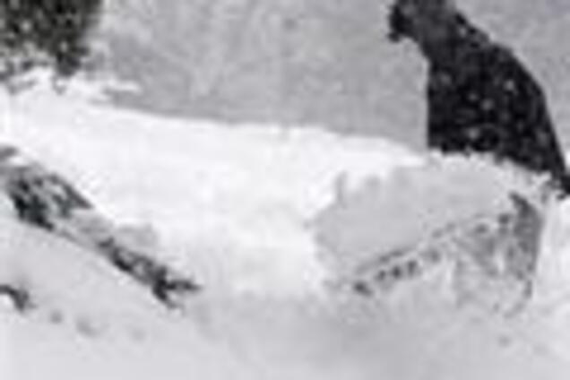 У Москві йде техногенний сніг