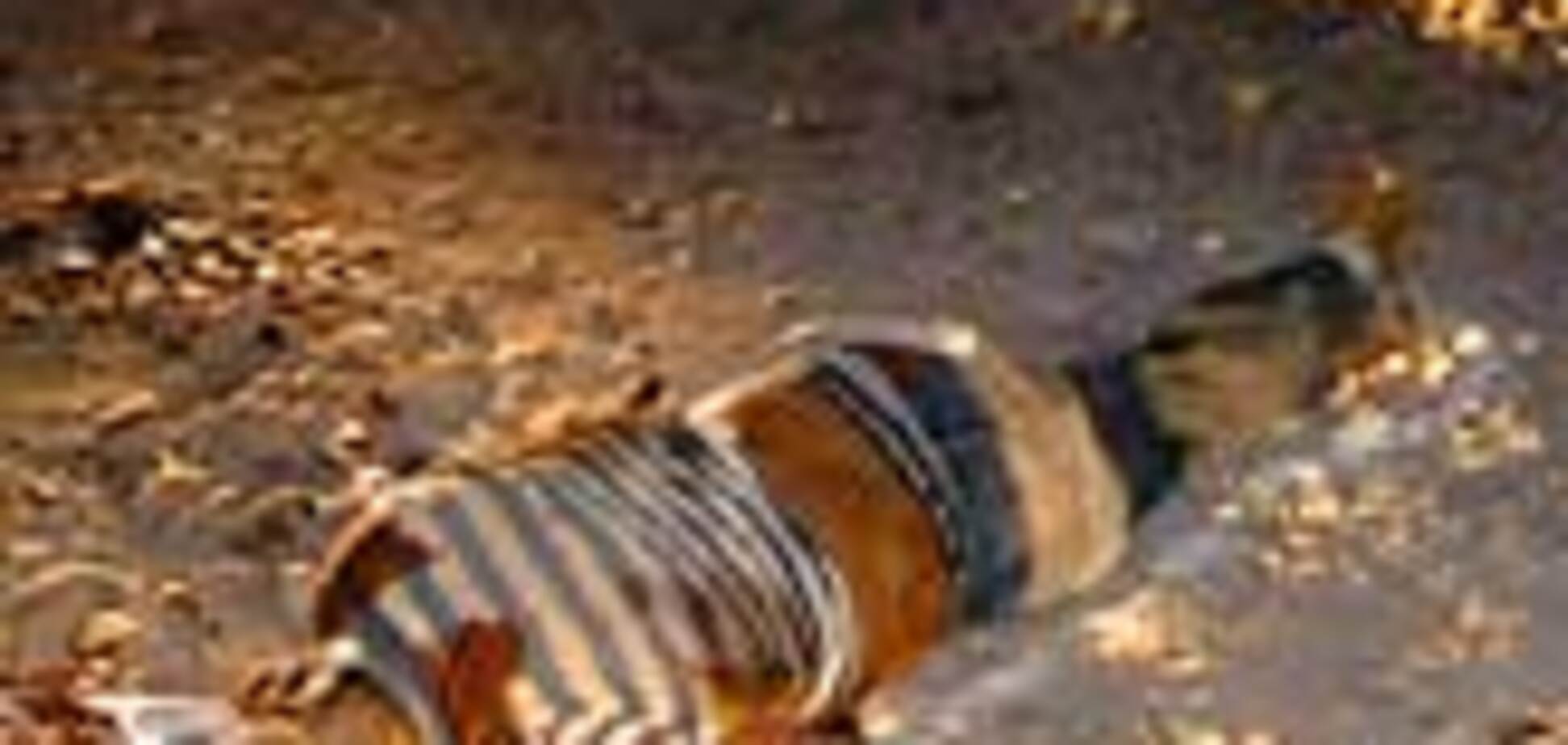 Обнаружены обезглавленные военные