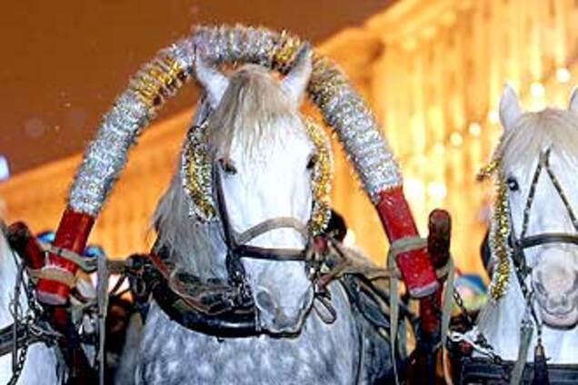 2009-й бодается, но идет. Страна готовится к Новому году