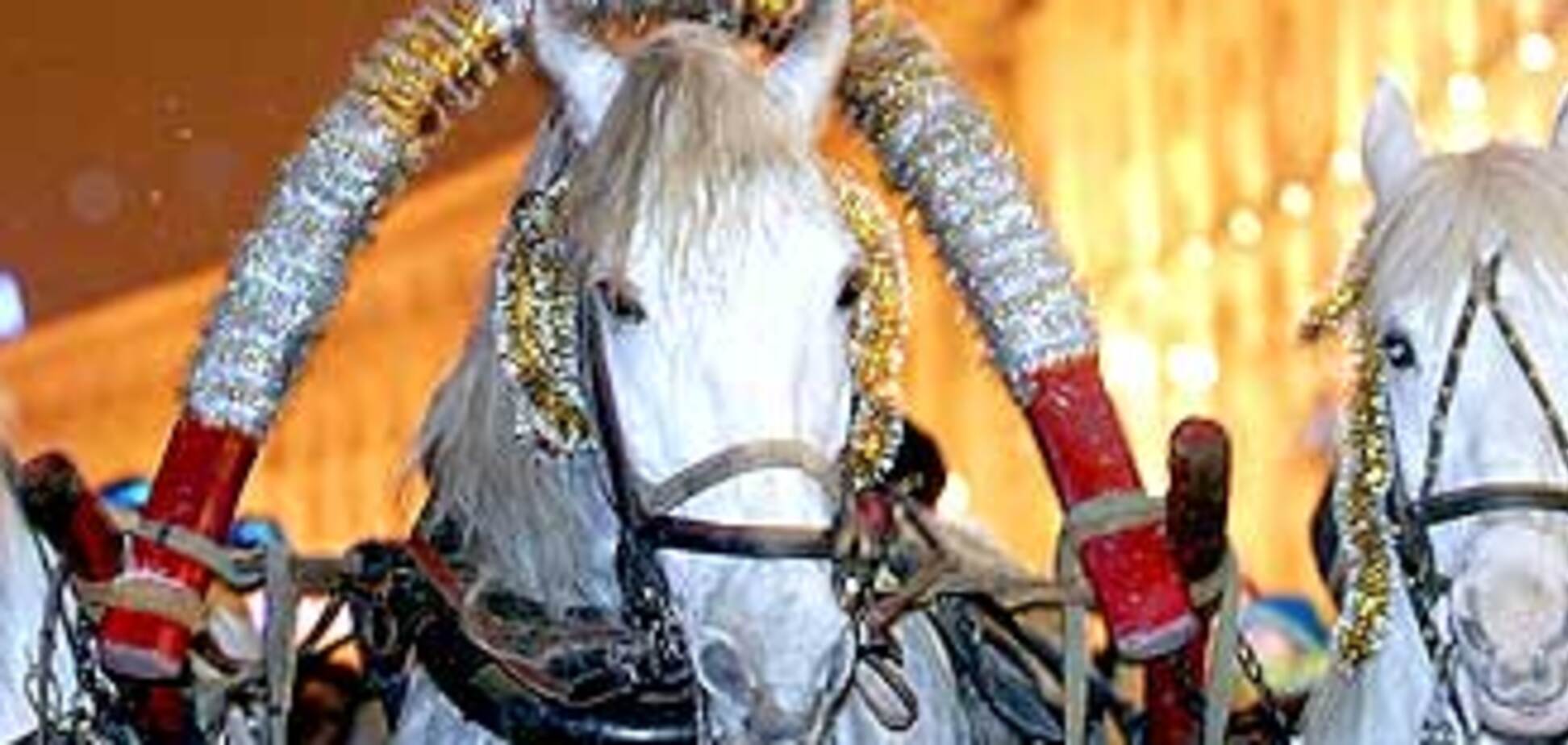 2009-й бодается, но идет. Страна готовится к Новому году