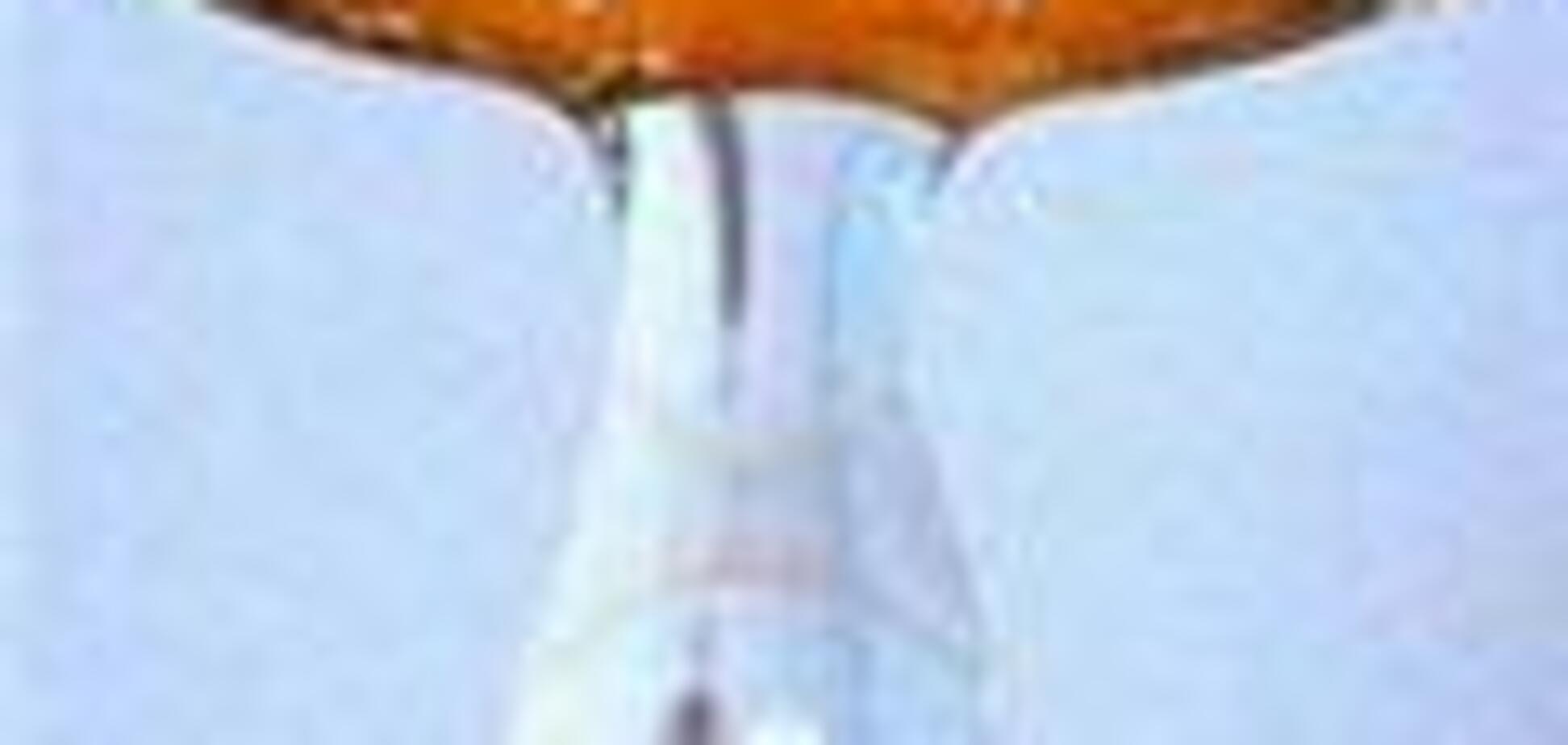 В Киеве Новый год встретят без горячей воды