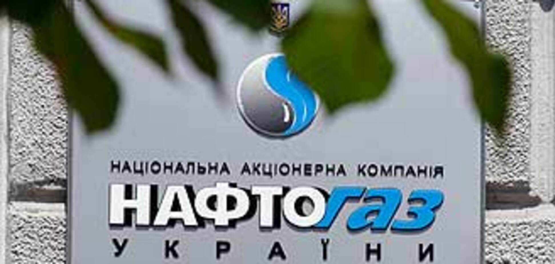 'Нафтогаз' в 2009 году обанкротится