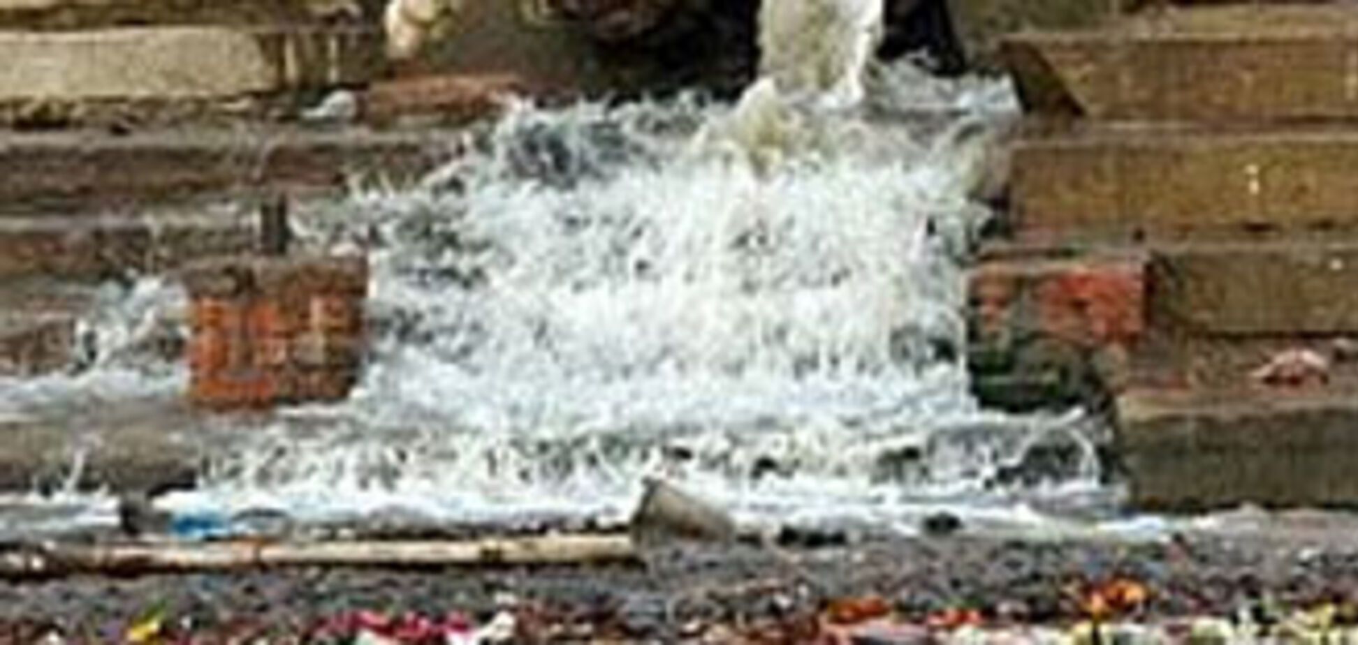 Пригород богачей купается в нечистотах