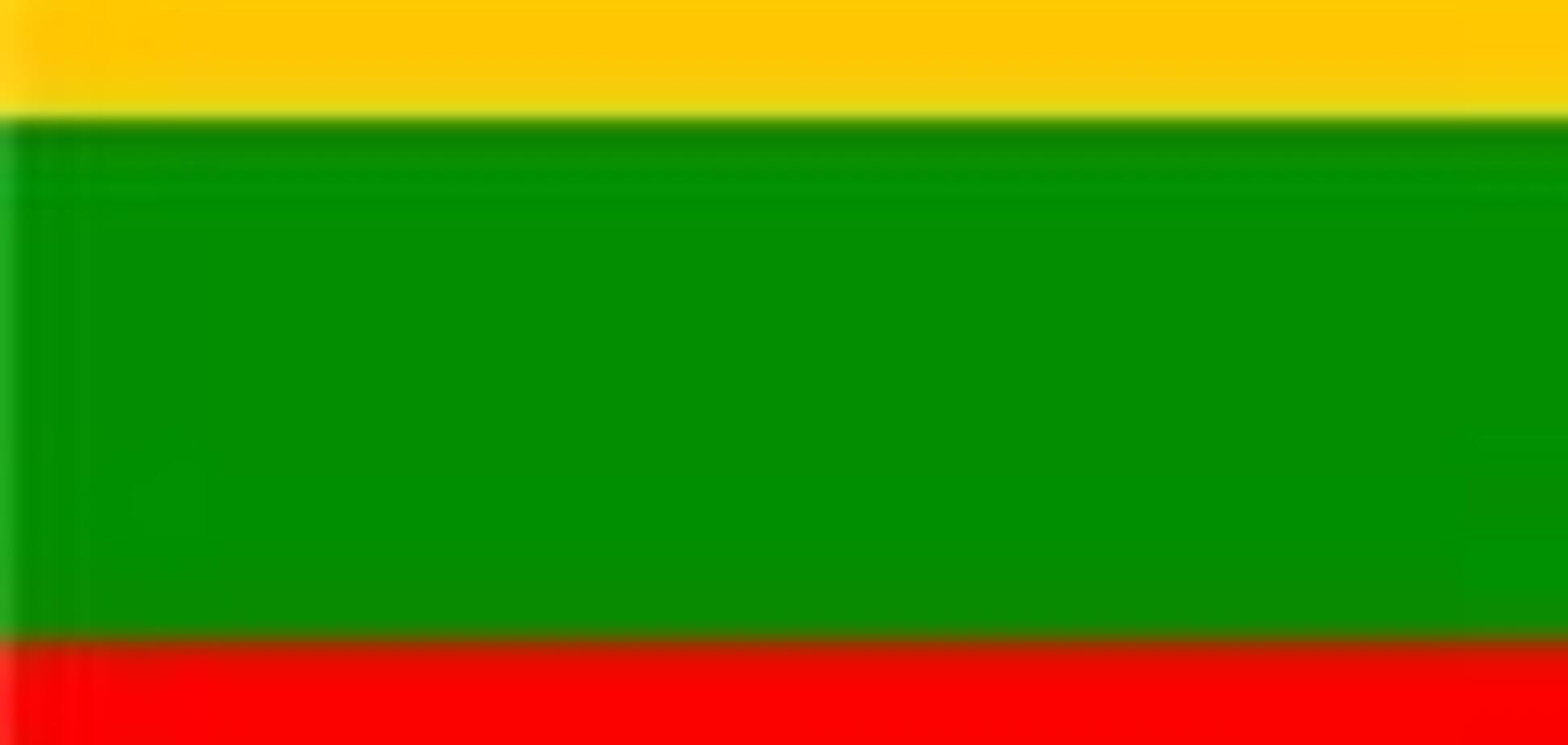 Литва вступает в 1000-й год своего существования