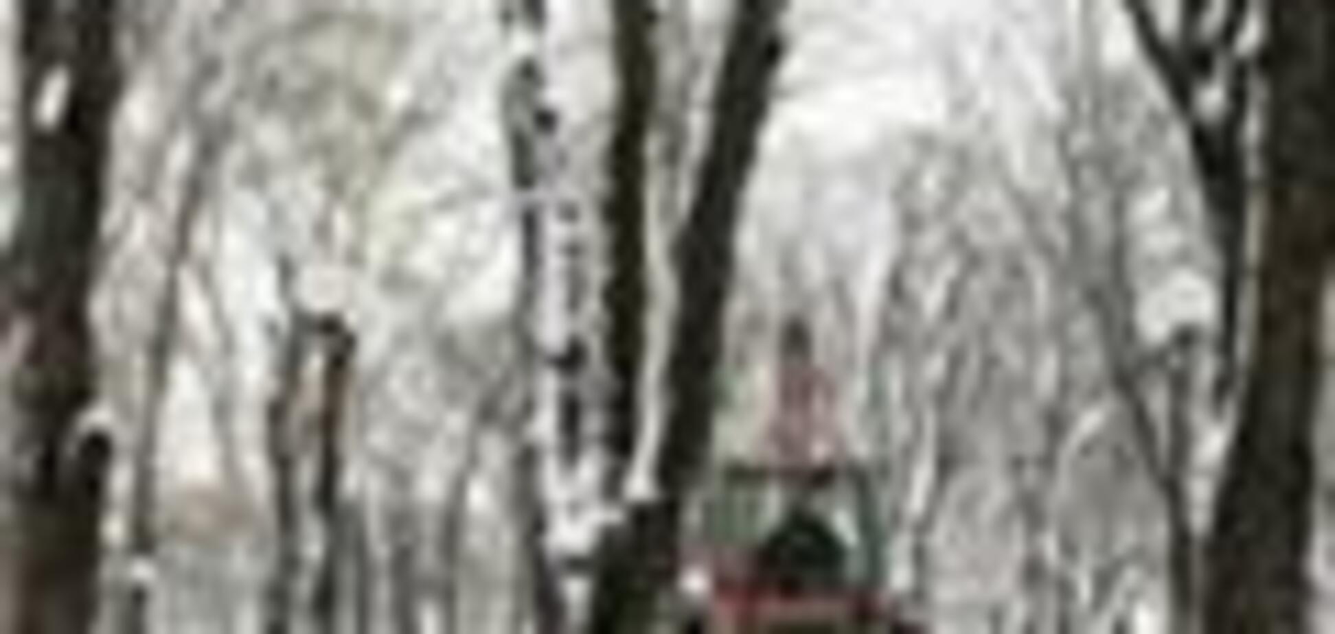 Непогода в Украины обесточила более 220 населенных пунктов