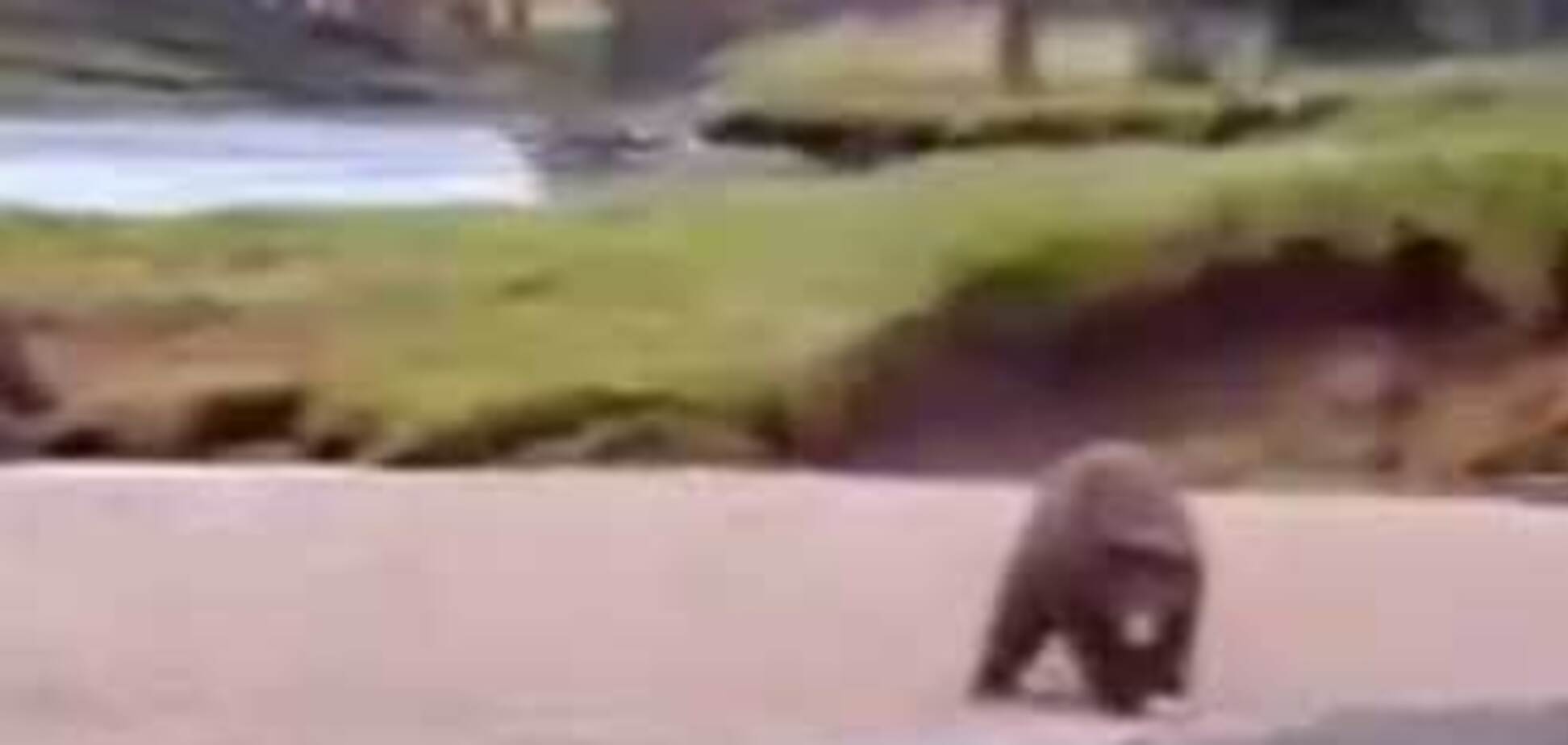 Названа найсмішніша реклама за всю історію. ВІДЕО