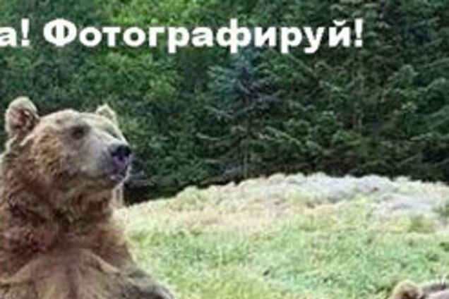 Перевод с языка животных. Расшифровка для любознательных