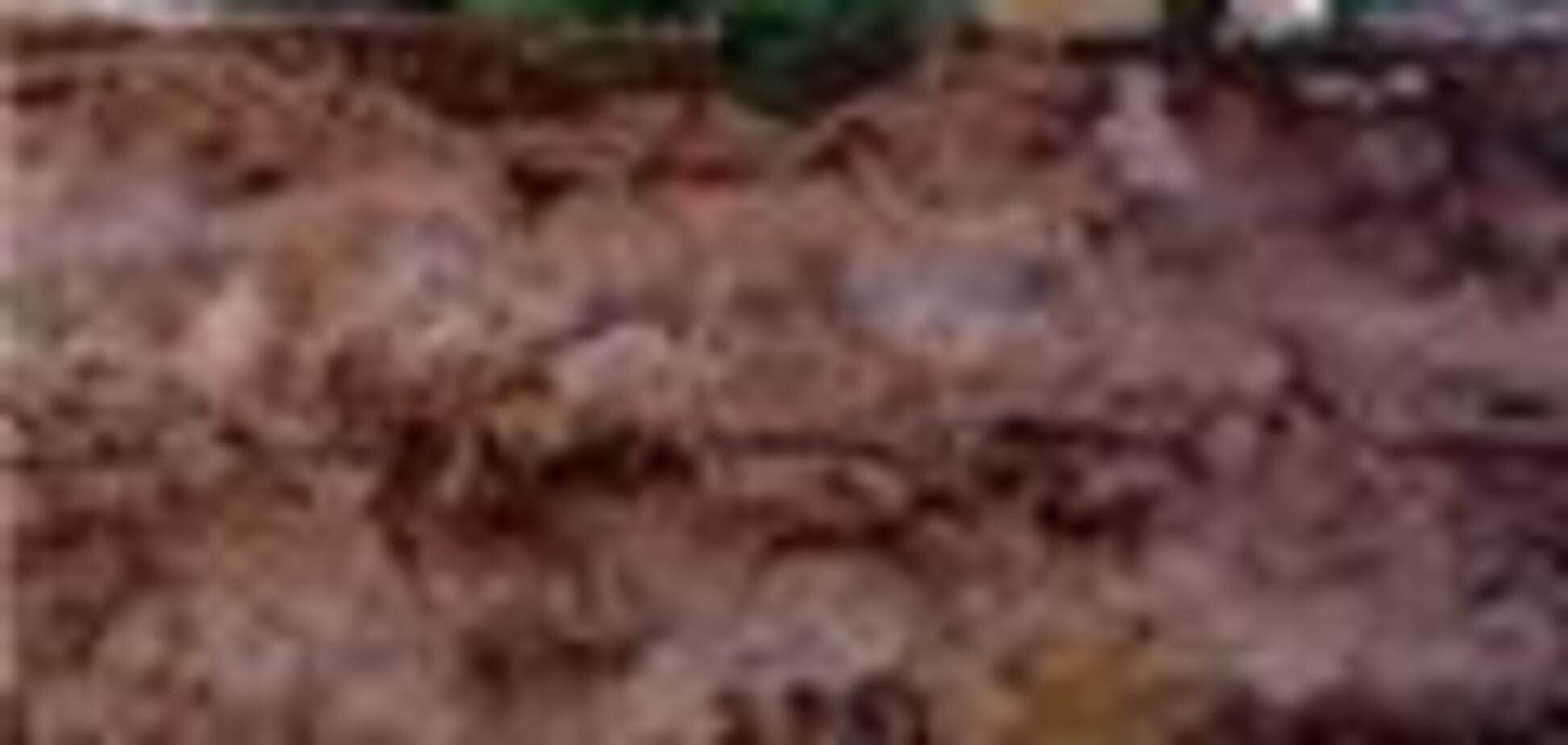 Британець помер під час поїдання торта