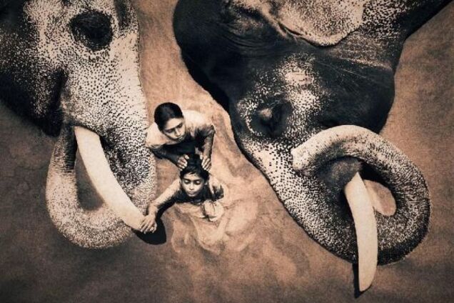 Приголомшливі роботи Gregory Colbert 'Ashes and Snow'