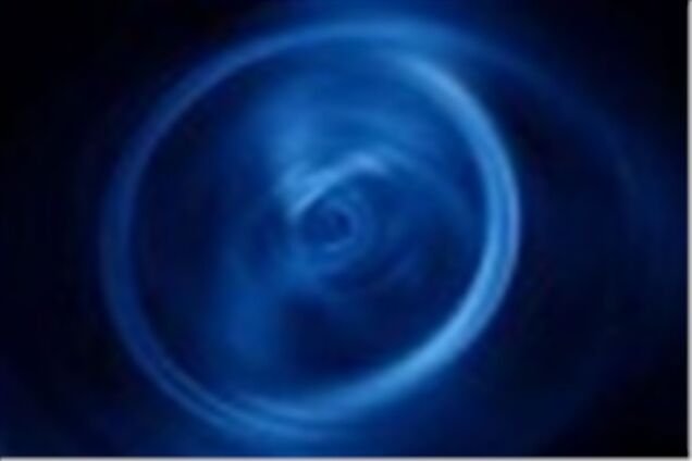 Стать 'пчелой' теперь можно через интернет