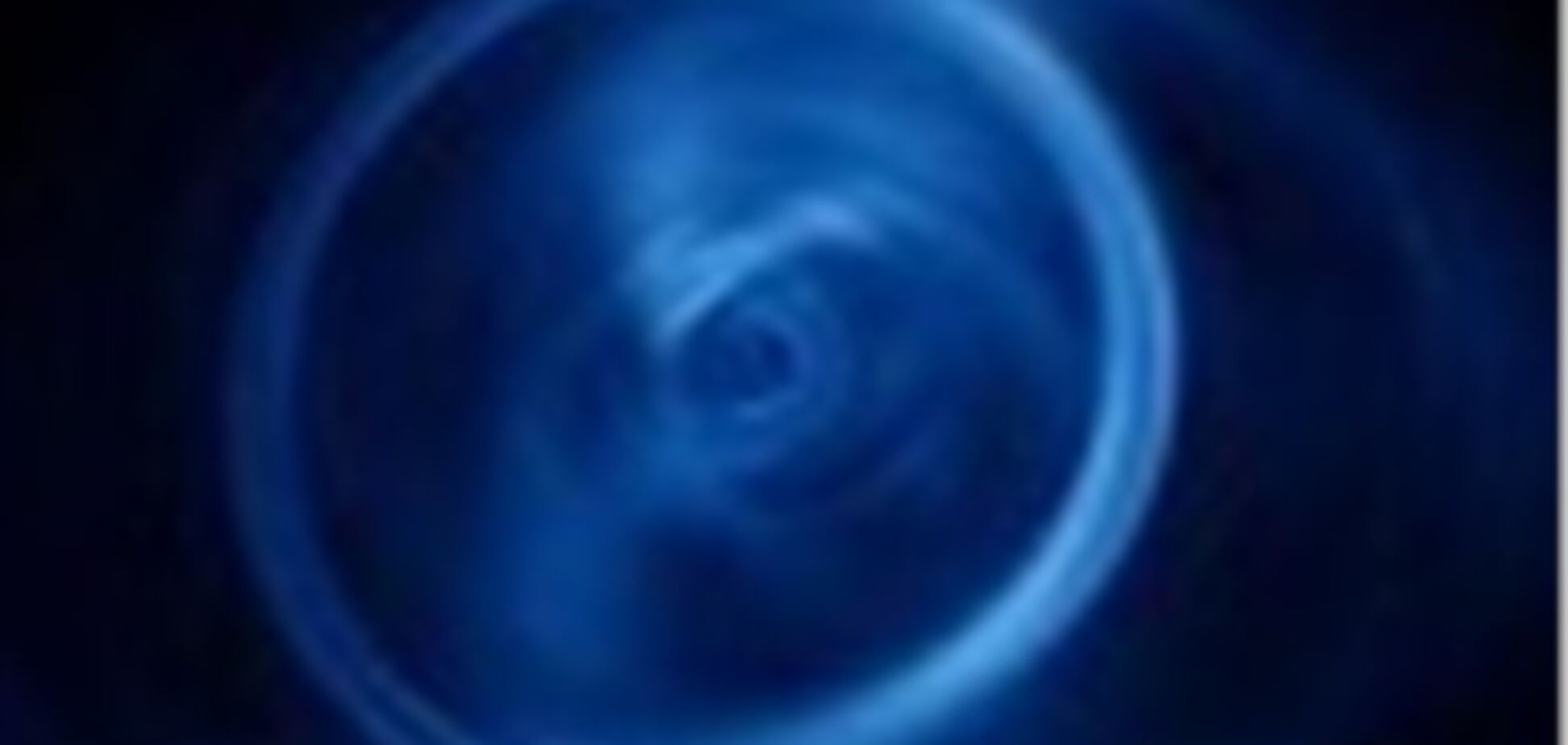 Стать 'пчелой' теперь можно через интернет