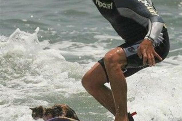 Фотоісторія про кота, який просто обожнює воду ...