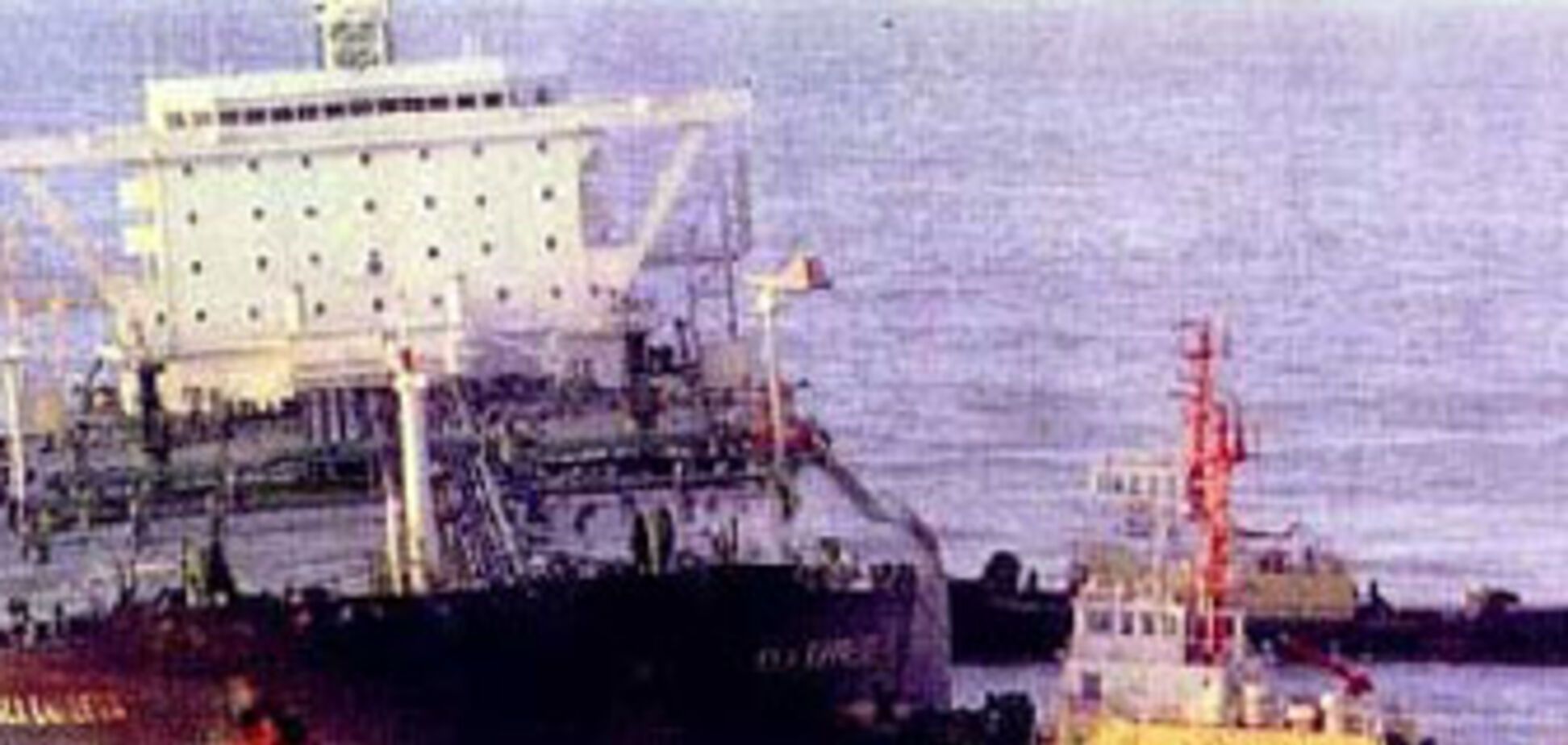 Пляжи Крыма все еще плавают в нефти