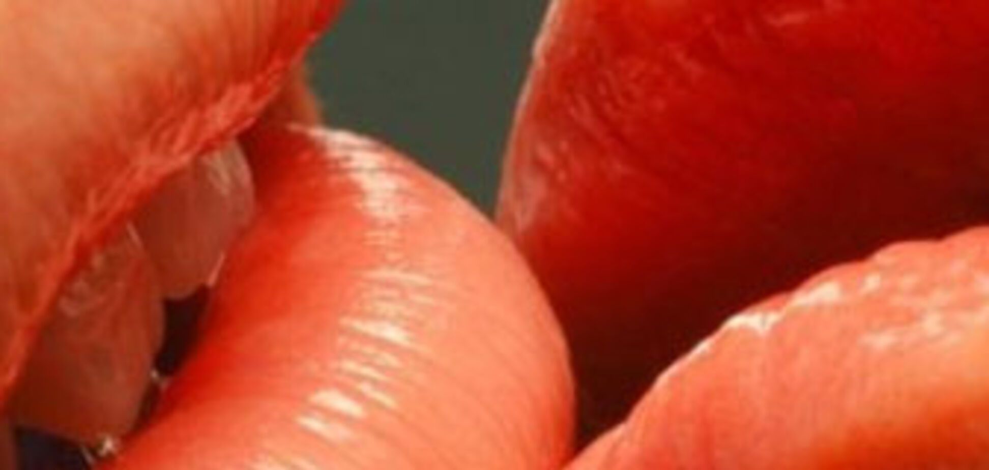 Украинцы научат мир целоваться