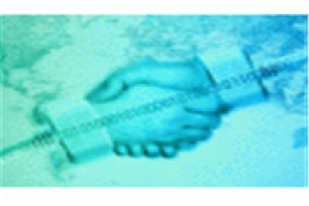 Alcatel-Lucent покупает консалтинговую компанию