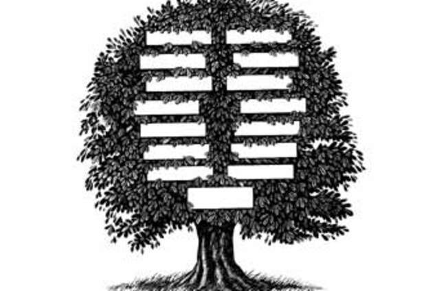 Барак Обама виявився далеким родичем Бреда Пітта