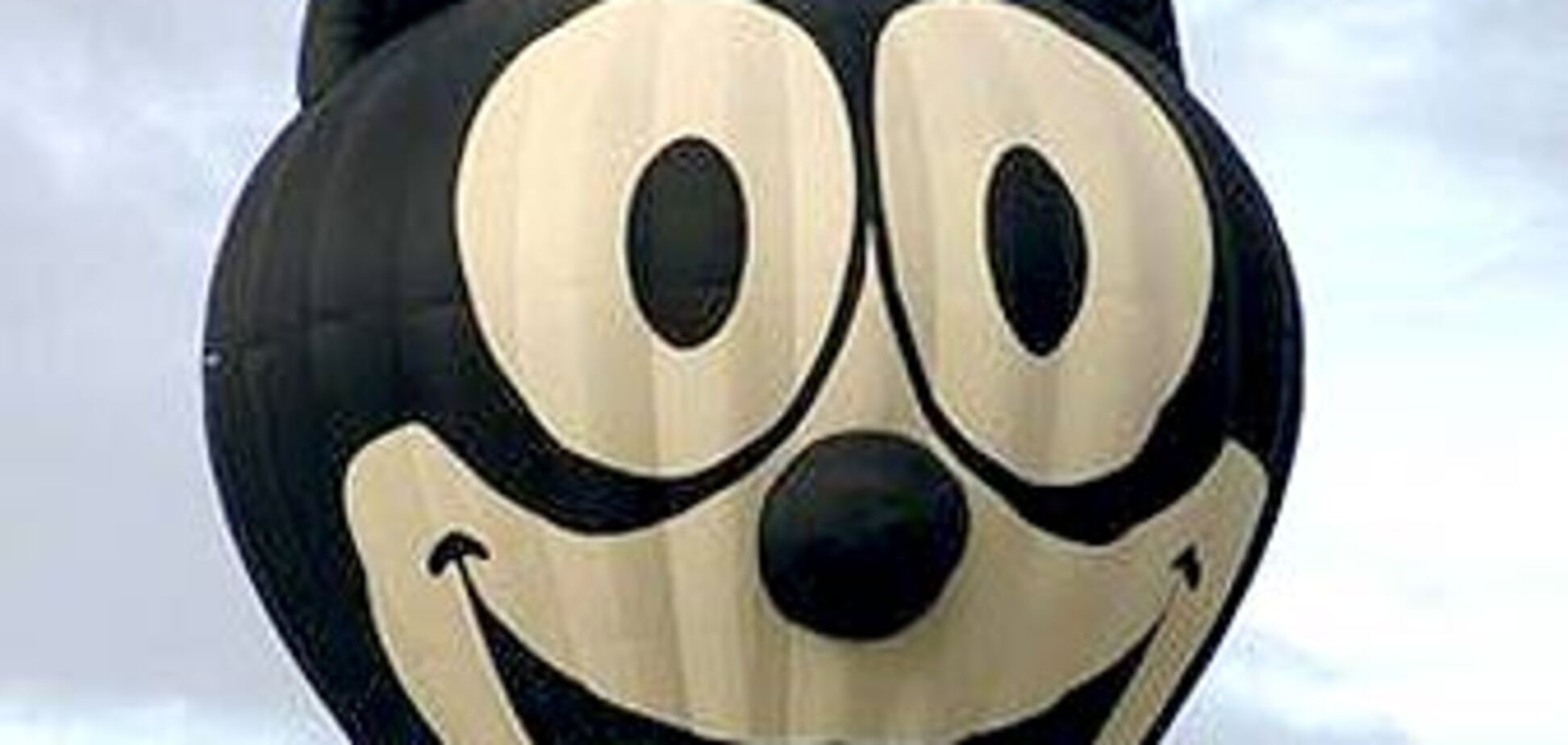 В центре Москвы сдуло ветром стаю котов